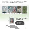 Nicoletta Ceccoli Tarot Mini Tarot Divination with Japanese Manual (English