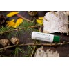 SYLVECO Birch Lip Balm with Betulin