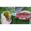 Clauss Spring-Action Stainless Steel Wire Cutters / Pruning Shears For
