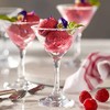 Mini Martini Glasses Set of 6#35495