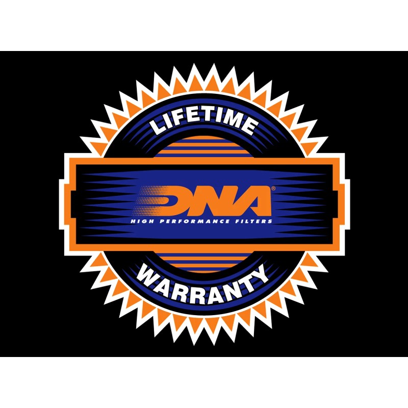 DNA Ducati Diavel V4 Air Filter
