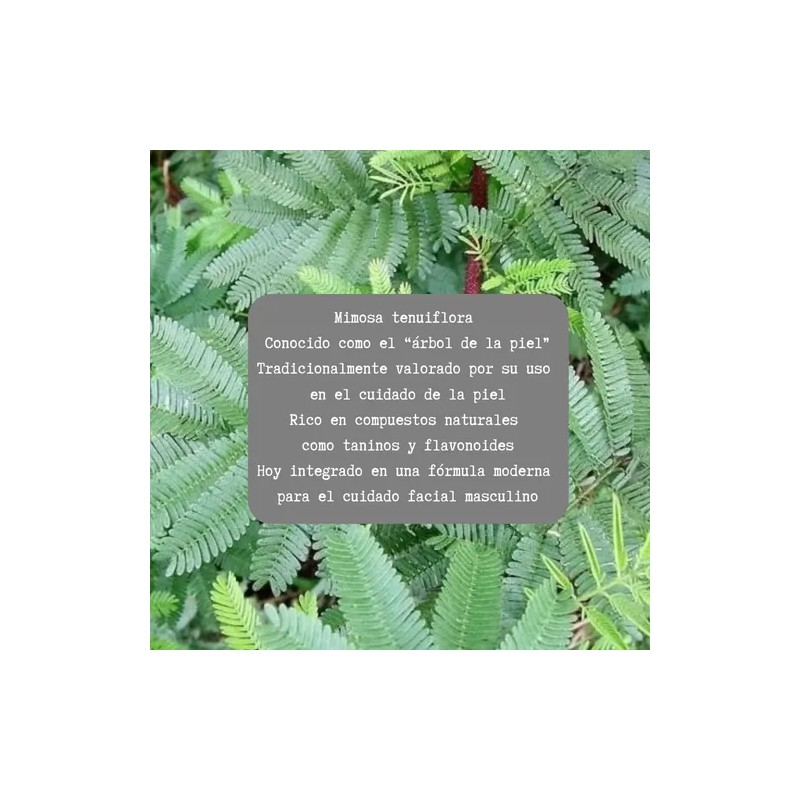 Crema De Tepezcohuite Fórmula Natural Regeneración Cutánea