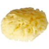 Poupy 246.6 Sponge Natural Sea