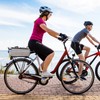 RAYMACE Bike Trunk Cooler Bag With Tail Light,Bicycle Rear Rack