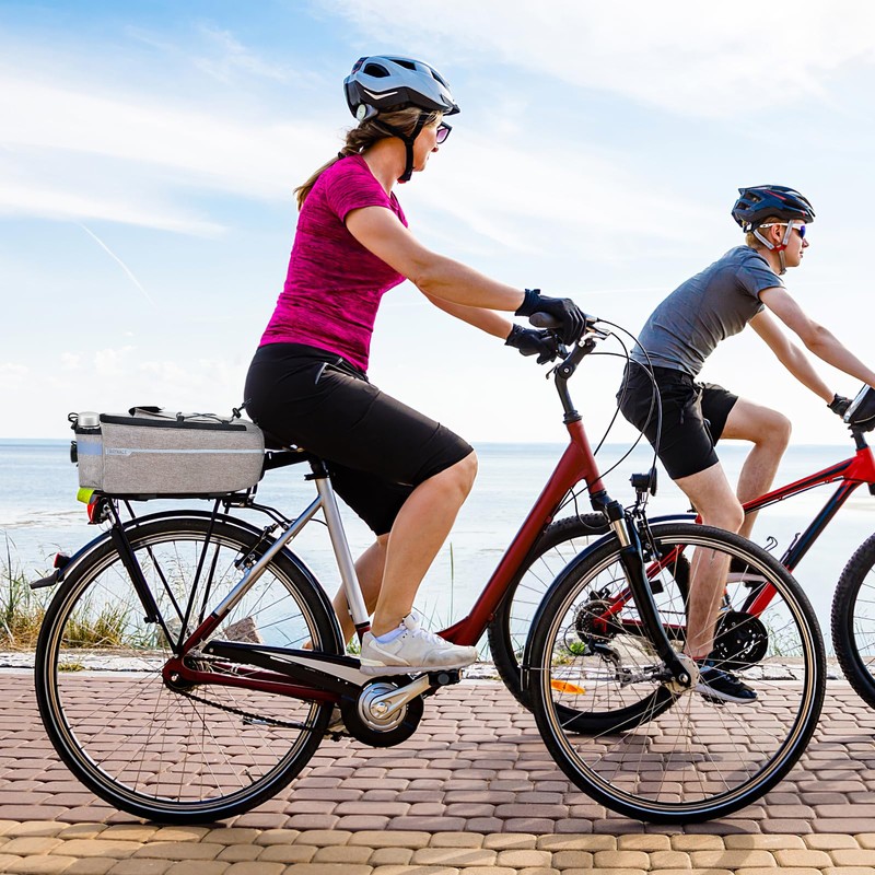 RAYMACE Bike Trunk Cooler Bag With Tail Light,Bicycle Rear Rack