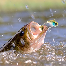 Top Water Fishing Lures | Swimming Lures,Highly Realistic Pre-Rigged Wobble Lures Hard Crankbait with Hooks for Salmon, Trout