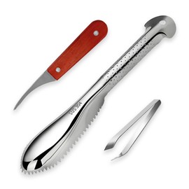 Druuzyl Fish Scaler, Pack of 3, Shrimp Line Fish Scaler, Stainless Steel Remover, Fish Scaler, Scraper, Fish Scraper, Kitchen Aid for Kitchen, Seafood Markets