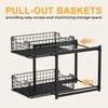 Under Sink Organizer, 2-Tier Pull Out Cabinet Organizer, Kitchen Bathroom