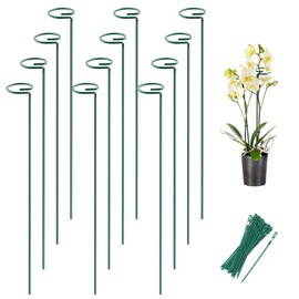 Joyhalo 12 Pack Plant Support Stakes 24 Inch, Plant Stakes, Flower Stakes with 24 Twist Ties, Garden Sticks for Plants Iris, Dahlia, Gladiolus, Amaryllis, Rose, Sunflower, Tomato, Sapling Etc