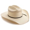 Resistol Men's Ustrc Big Money Hat, Natural, 7 3/8