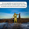 Maine Coast Sea Vegetables Kelp Granules Blend | Organic Seaweed