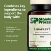 Standard Process Ligaplex I - Joint Support Supplement for Ligament