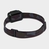 Black Diamond Equipment Black Diamond Spot 350 Headlamp, Black