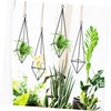 SUPVOX 4Pcs Geometric Metal Air Plant Holder Stylish Hanging Planter