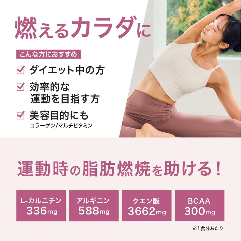 アルプロン (ALPRON SLIM) ダイエット サポート 燃え燃え450g グレープフルーツ風味 カルニチン クエン酸 アルギニン