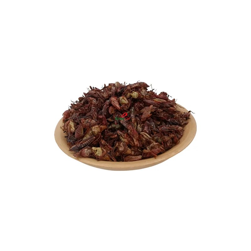Chapulines Oaxaqueños 1kg Varios Preparados Grandes
