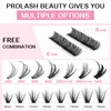 280 Pcs Individual Lashes Cluster Lashes 30D+40D D Curl 9-15Mix