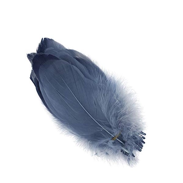 Sowder Natural Goose Feathers Clothing Accessories Pack of 100(grey)