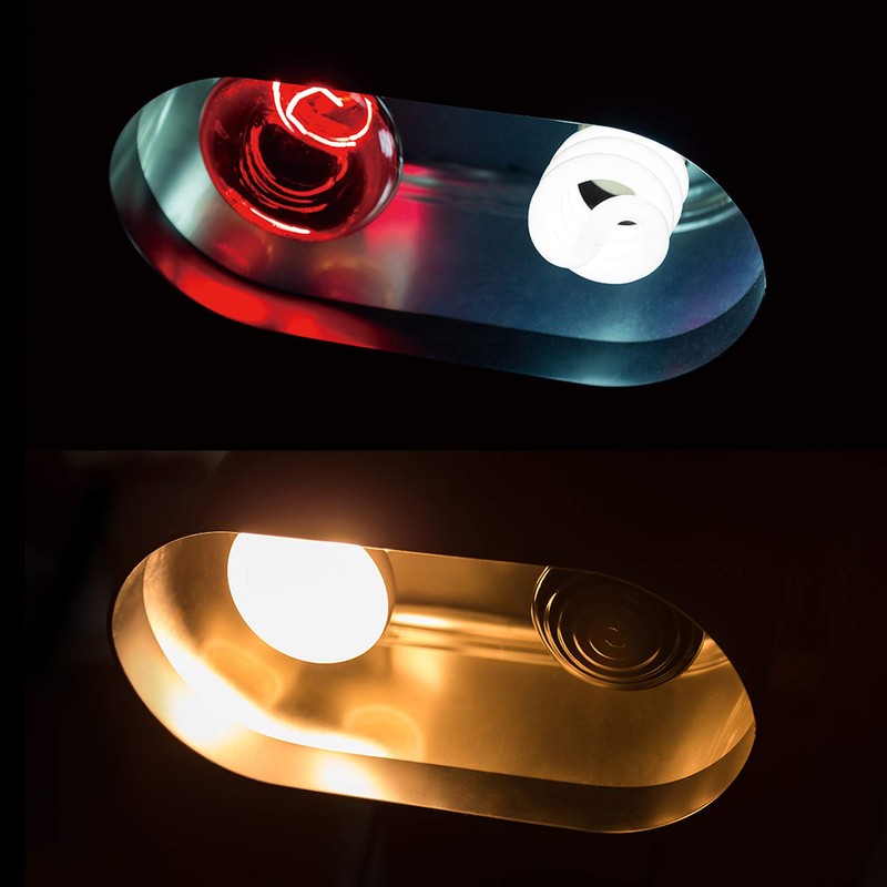 REPTI ZOO Dual Reptile Light Fixture for Reptile Dome UVB