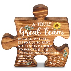 Appreciation gifts for Team Member Coworker Employee, Encouragement Thank you Gifts for Leader Colleague, A Truly Great Team Wooden Farmhouse Inspirational Decor Signs & Plaques-LMP13