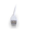 9.8ft (3m) USB 2.0 A Male to A Female Extension