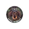 Wilde Hilde Original Dachshund, Teckel, Dachshund, Rauhaardackel Sign with Suction