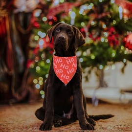 PTDECOR Christmas Dog Bandana, Xmas HOHO Santa Dog Bandana Reversible Holiday Dog Scarf, Triangle Dog Christmas Bandanas for Medium Large Dogs Pets (Red & Green, Large)