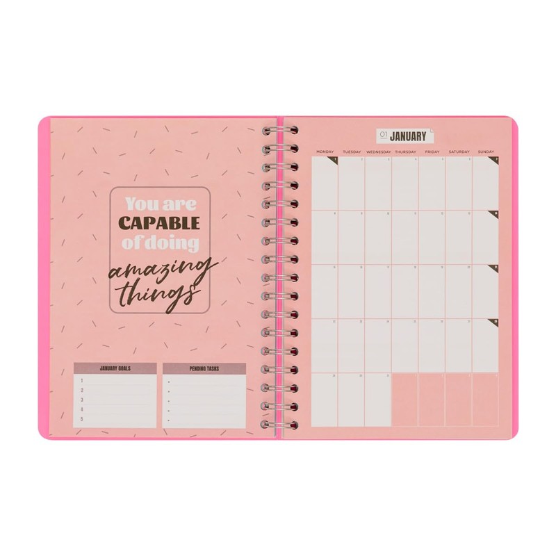 Mr.Wonderful Office Basic diary 2024 Week view, My big achievements