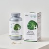 10 billion lactic acid bacteria probiotics for intestinal health /