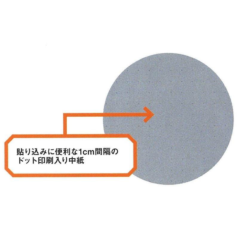 テージー 透明ポケット A4 2穴 50P P-142E