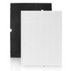 116130 Replacement Filter H for Winix 5500-2 AM80 Plasmawave Air