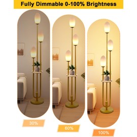 ACOHOOK Gold Dimmable Floor Lamp with Table, UniqueTall Standing Lamps with 3000K G9 Bulbs for Reading, Mid Century Modern Floor Lamp with 5Lbs Heavy Base for Living Room Bedroom Office