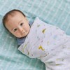 aden + anais Eiden and Anais Year of Snake Swaddle,