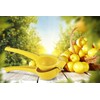 Manual Lemon Squeezer - Manual Citrus Juicer - Squeeze Lemons,