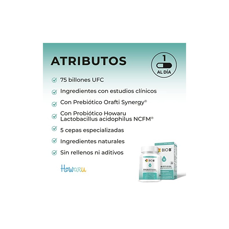 BIO B | Probióticos 75 billones UFC + prebióticos |