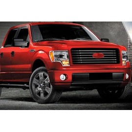 WSHFJDVCM 1pc USA Flag Emblem Badge Nameplate for Ford 04-14 F150, 11-14 Edge, 11-16 Explorer, 06-11 Ranger, 07-14 Expedition, Red,9inch F-9USF-RB