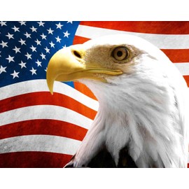 StickerTalk USA Flag with Eagle Vinyl Sticker, 9 inches by 7 inches