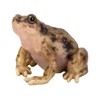 Uvia H20224 Frog (Small) 2.0 x 2.0 x 1.6 inches