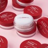 Paul Madison Vivid Primer Finish Powder 12g Vivid Finish Powder
