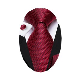 Dubulle Mens Paisley Floral Silk Tie for Men Black Red Striped Necktie and Pocket Square Cufflinks Set Wedding Business