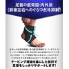 Chefal 足首サポーター 柔道整復師が本気で考えた [テーピング理論応用 足首 サポーター ］足首固定保護 スポーツ 日常生活兼用 (M：24.5～26cm)