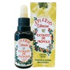 Apiario Silvestre Brazilian Green Bee Propolis Traditional Extract (30 ml)
