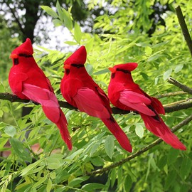 DALJIAFA 6 Pcs Christmas Red Cardinal Birds Clip On Artificial Feathered Bird Decorations for Xmas Tree Wreaths Garlands Ornaments DIY Crafts Wedding New Year Eve Birthday Party Supplies Mixed Color