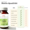 Triphala Tablets of 480 mg Active Ingredient (Triple Fruit, Haritaki,