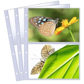 Pack of 30 Transparent Pockets 2 Compartments Photo Sleeves Transparent Postcard Sleeves A4 Ring Binder for Storing Photos Postcards Souvenir Paper (60 Pockets)