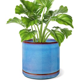 LITUDISO 6 Inch Ceramic Plant Pots with Drainage & Saucer - Indoor Pots for Succulents, Small Herbs, Cactus Includes Soil Mesh Pad, Ocean Blue