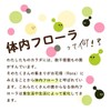 オーガランド (ogaland) 酪酸菌 (90粒 / 約3ヶ月分) 酪酸菌配合数 1粒あたり 約1200万個配合 (体内フローラ/トイレサポート)
