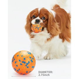 EVERDAZZ Tennis Ball Dog Toys for Aggressive Chewers: Teething Chew Toys - Water Toy Fetch Balls for Large Medium Small Dog and Puppy (2 Balls)