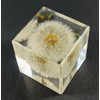 40mm Real Dandelion Snowflake Flower in Crystal Clear Lucite Resin