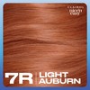 Clairol Nice'n Easy Permanent Hair Dye, 7R Lighest Auburn Hair